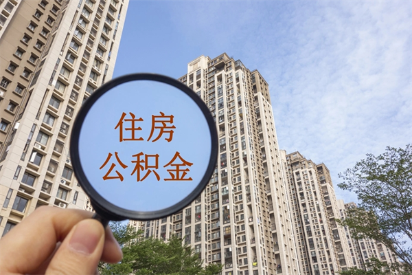 聊城辞职多久公积金可以全部取出来吗（辞职之后公积金多长时间可以取）